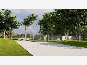 Terreno en venta en Centro Jiutepec, Jiutepec — foto 2 de 9