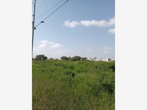 Terreno en venta en Santa Cruz del Valle, Tlajomulco de Zúñiga — foto 2 de 30