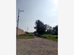 Terreno en venta en Santa Cruz del Valle, Tlajomulco de Zúñiga — foto 3 de 30