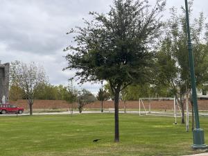 Terreno en venta en Las Villas, Torreón — foto 2 de 6