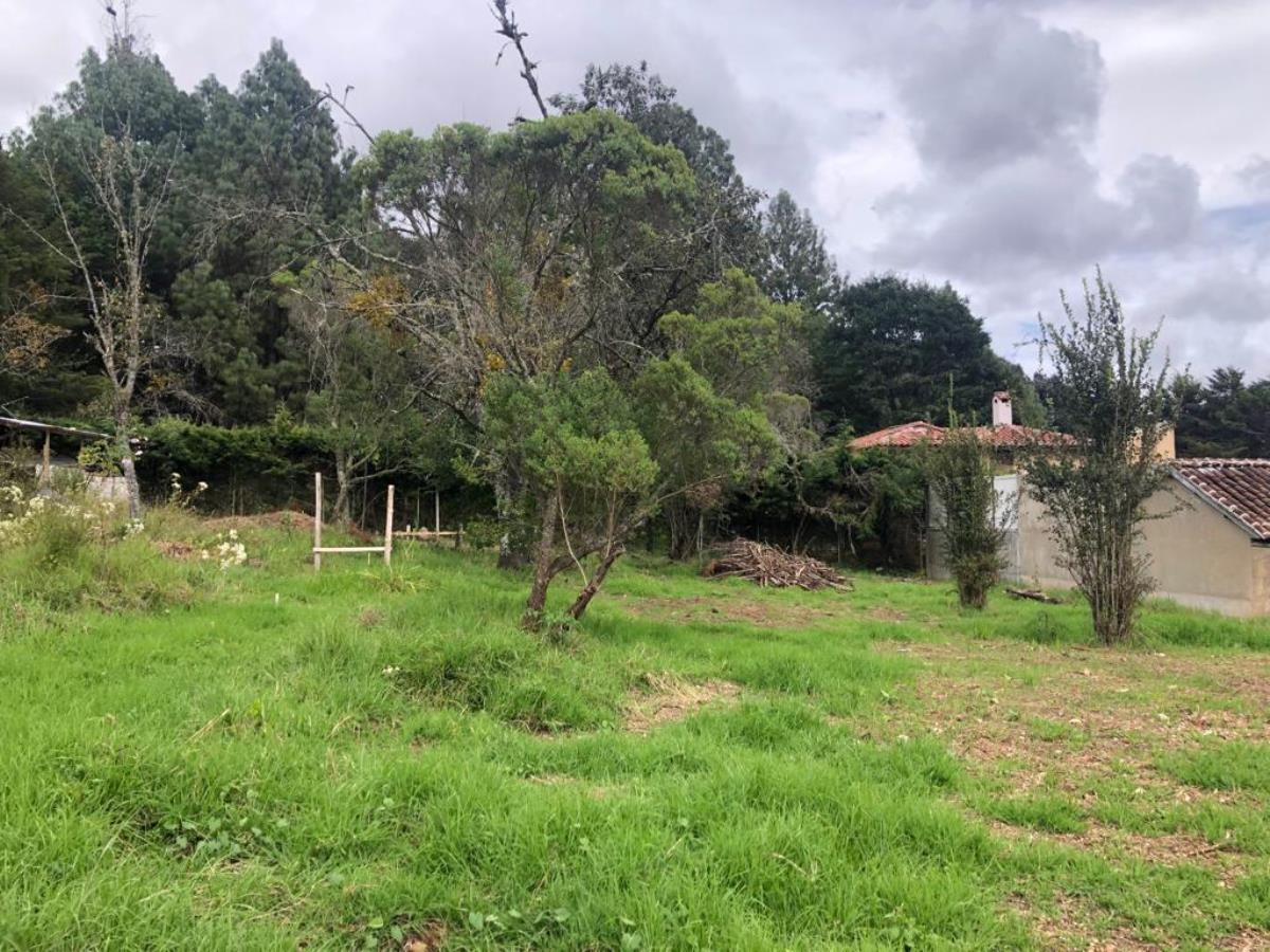 Terreno en venta en Los Alcanfores, San Cristóbal de las Casas — foto 1 de 7