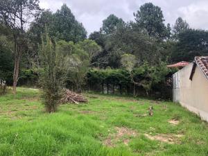 Terreno en venta en Los Alcanfores, San Cristóbal de las Casas — foto 2 de 7