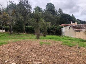Terreno en venta en Los Alcanfores, San Cristóbal de las Casas — foto 3 de 7
