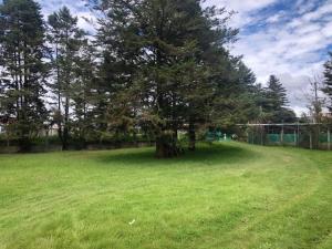 Terreno en renta en El Santuario, San Cristóbal de las Casas — foto 3 de 7