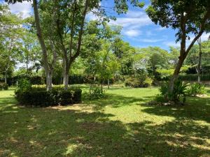 Terreno en venta en Ixtacomitán 4ta Sección, Centro — foto 3 de 4