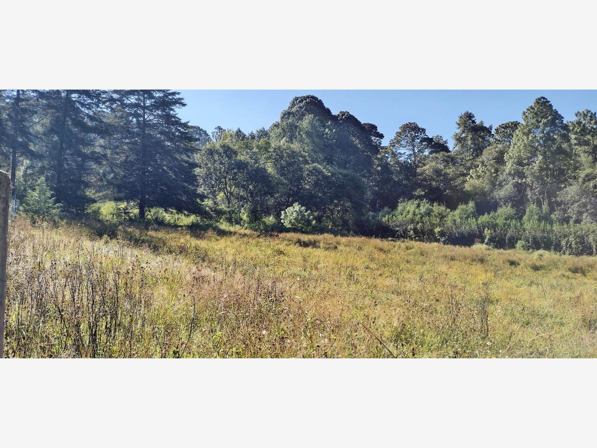 Terreno en venta en Valle de Bravo, Valle de Bravo — foto 1 de 6