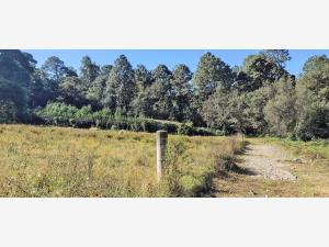 Terreno en venta en Valle de Bravo, Valle de Bravo — foto 3 de 6