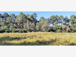 Terreno en venta en Valle de Bravo, Valle de Bravo — foto 2 de 6