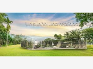 Terreno en venta en Del Sur, Mérida — foto 2 de 14