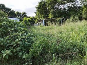 Finca-Rancho en venta en La Víbora (La Reforma), Tlalixcoyan — foto 2 de 13