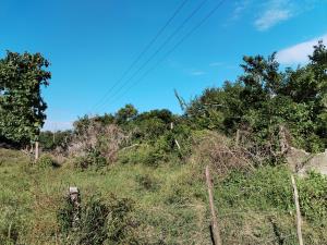 Finca-Rancho en venta en La Víbora (La Reforma), Tlalixcoyan — foto 3 de 13