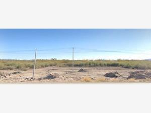 Terreno en renta en San Isidro, San Pedro — foto 3 de 5