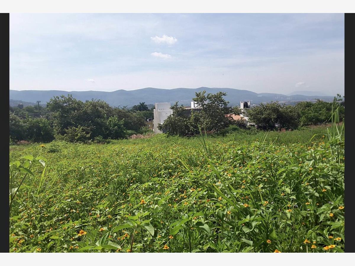Terreno en venta en Lomas de Trujillo, Emiliano Zapata — foto 1 de 4