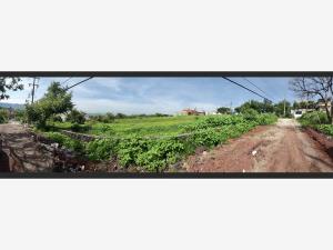 Terreno en venta en Lomas de Trujillo, Emiliano Zapata — foto 2 de 4