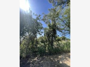 Terreno en venta en Lomas de Cocoyoc, Atlatlahucan — foto 3 de 7