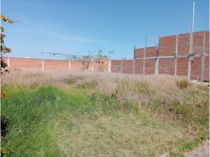 Terreno en venta en Nuevo León, Cuautlancingo — foto 2 de 5