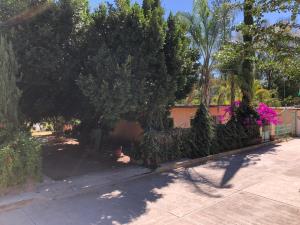 Casa en venta en El Espinal, Santiago Huajolotitlán — foto 3 de 18