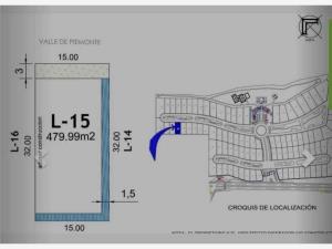 Terreno en venta en La Gran Vinícola, Gómez Palacio — foto 3 de 5