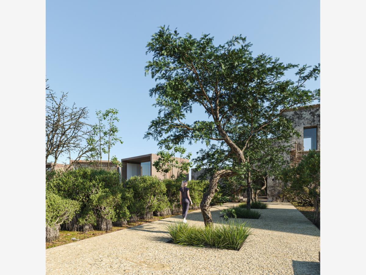 Terreno en venta en Dzilam de Bravo, Dzilam de Bravo — foto 1 de 16