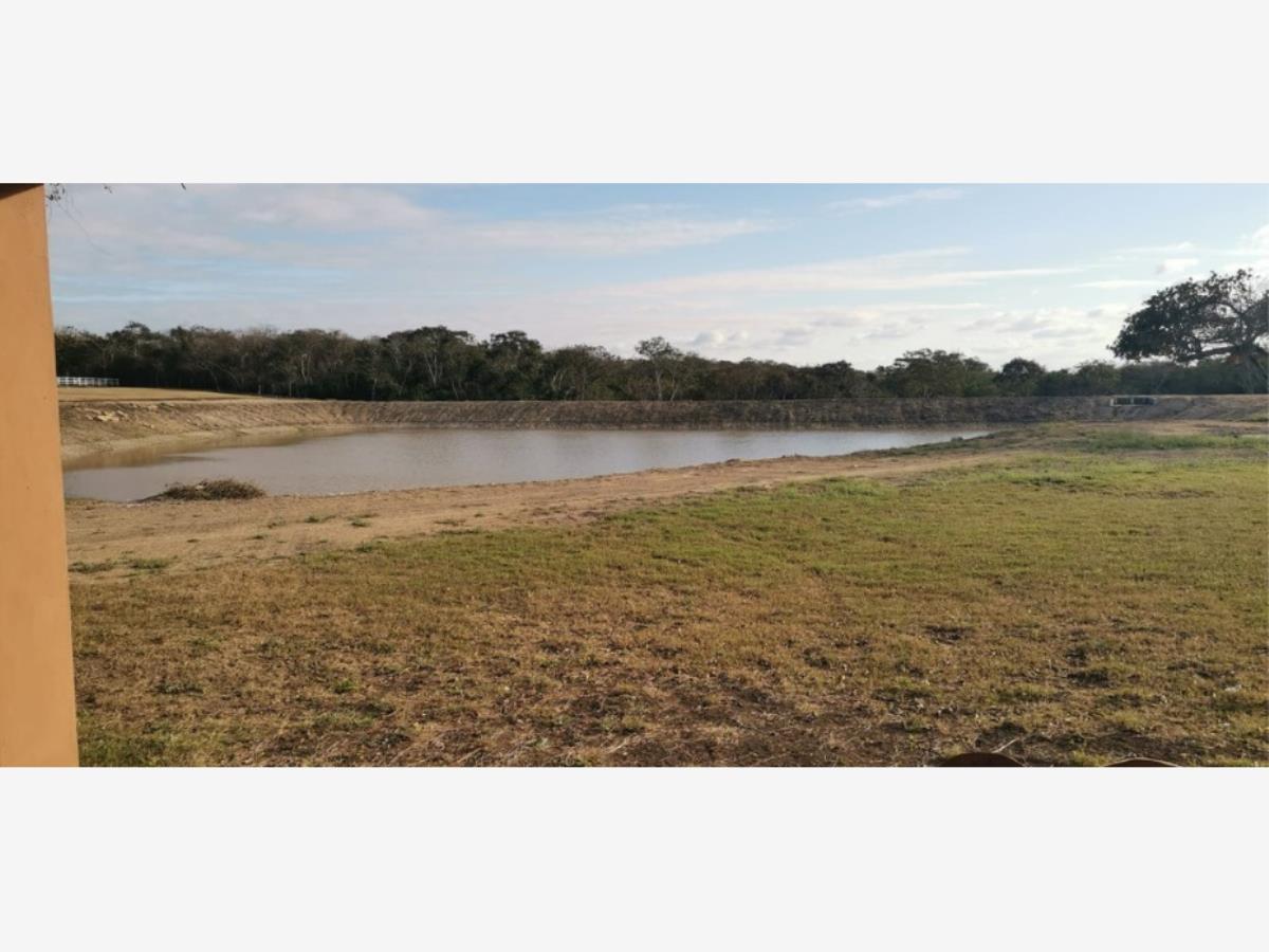 Terreno en venta en Tampico Alto Centro, Tampico Alto — foto 1 de 12