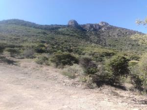 Terreno en venta en La Peña, Huimilpan — foto 2 de 10