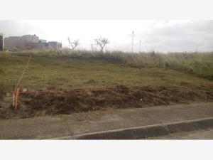 Terreno en venta en Real Mandinga, Alvarado — foto 2 de 2