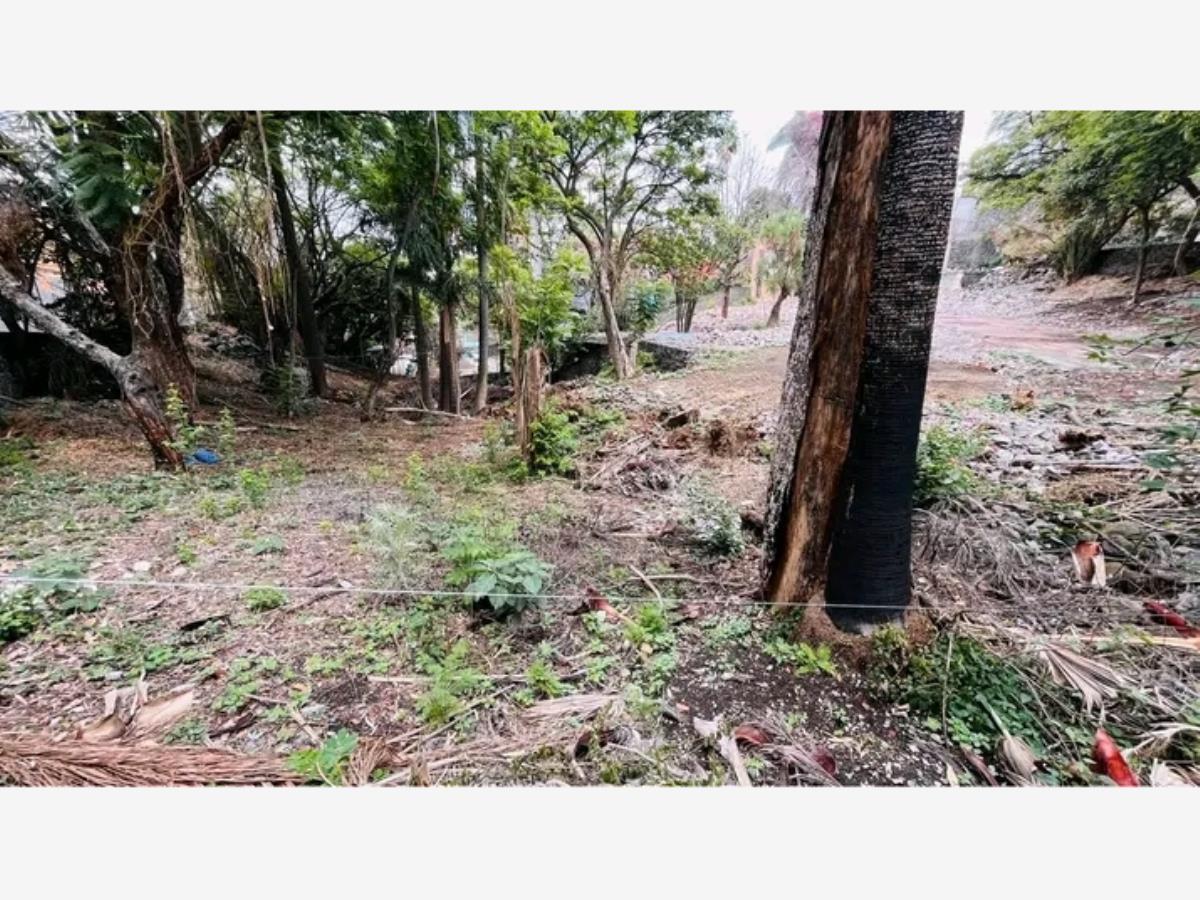 Terreno en venta en Miraval, Cuernavaca — foto 1 de 6