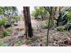 Terreno en venta en Miraval, Cuernavaca — foto 2 de 6