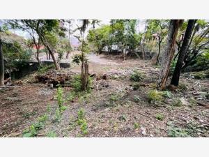 Terreno en venta en Miraval, Cuernavaca — foto 3 de 6