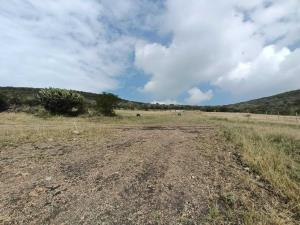 Terreno en venta en El Vegil, Huimilpan — foto 3 de 5