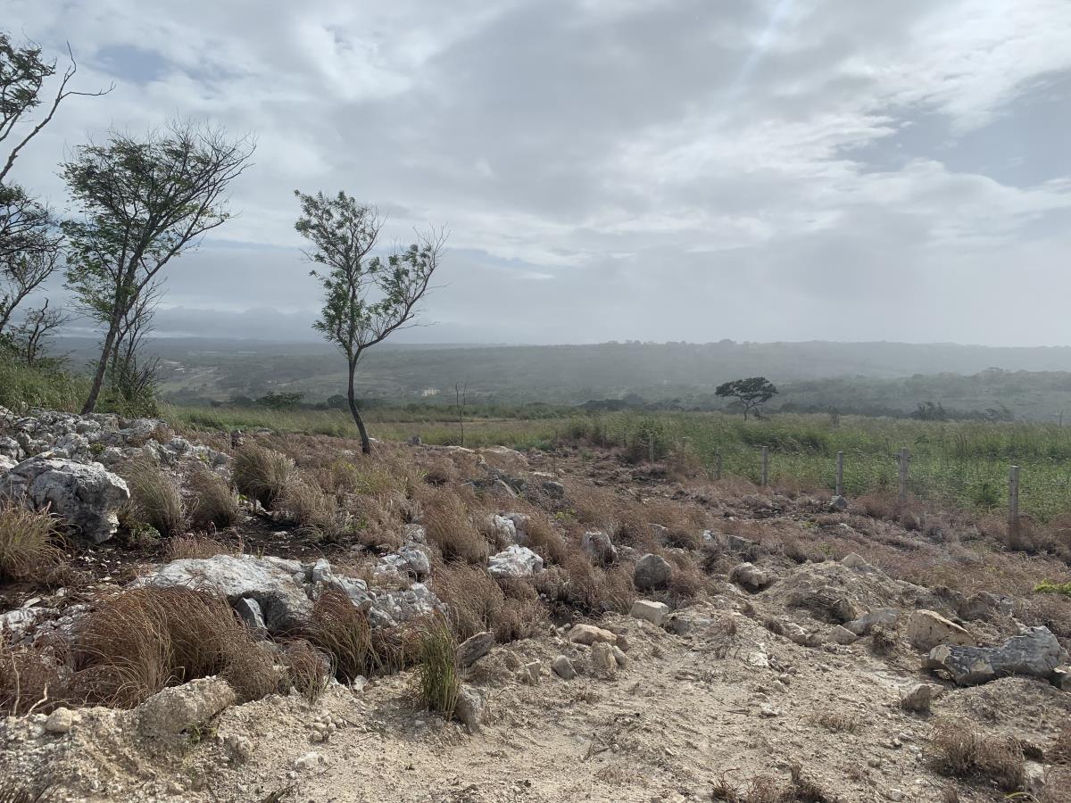 Terreno en venta en Linda Vista, Berriozábal — foto 1 de 4