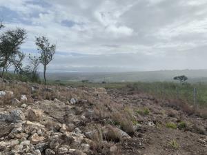 Terreno en venta en Linda Vista, Berriozábal — foto 2 de 4