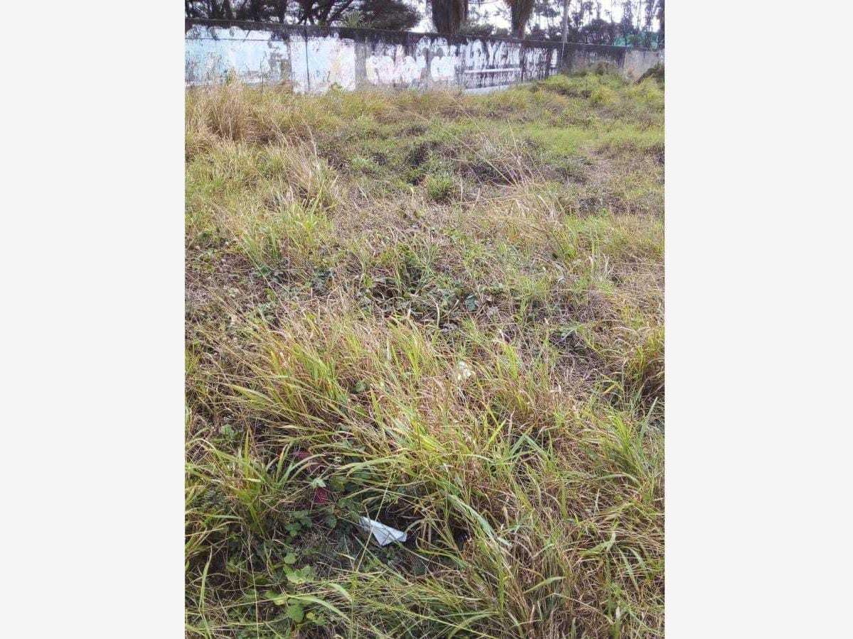 Terreno en renta en Jardines de Mocambo, Boca del Río — foto 1 de 2