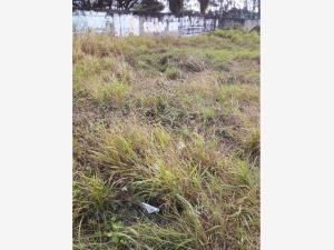 Terreno en venta y renta en Jardines de Mocambo, Boca del Río, Veracruz de Ignacio de la Llave