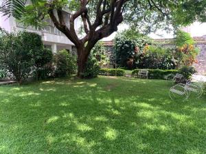 Departamento en renta en Cuernavaca Centro, Cuernavaca — foto 3 de 10
