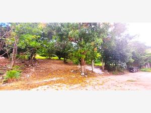 Terreno en venta en Coquelequixtlan, Tuxtla Gutiérrez — foto 2 de 13