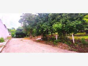 Terreno en venta en Coquelequixtlan, Tuxtla Gutiérrez — foto 3 de 13