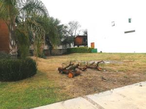 Terreno en venta en San Lorenzo, Celaya — foto 2 de 14
