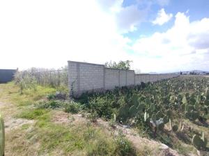 Terreno en venta en Tepecuitlalpa, San Andrés Cholula — foto 2 de 8