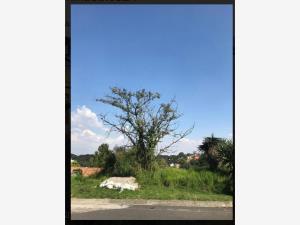 Terreno en venta en Residencial Chiluca (Club de Golf Chiluca), Atizapán de Zaragoza — foto 3 de 7