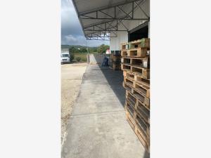 Bodega en renta en Tuxtla Gutiérrez Centro, Tuxtla Gutiérrez — foto 2 de 2