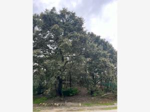 Terreno en venta en Cielo Contry Club, Tlajomulco de Zúñiga — foto 2 de 3