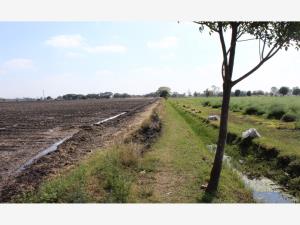 Terreno en venta en Quintanares, Pedro Escobedo — foto 3 de 15