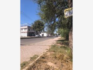 Terreno en renta en Arandas, Irapuato — foto 3 de 4