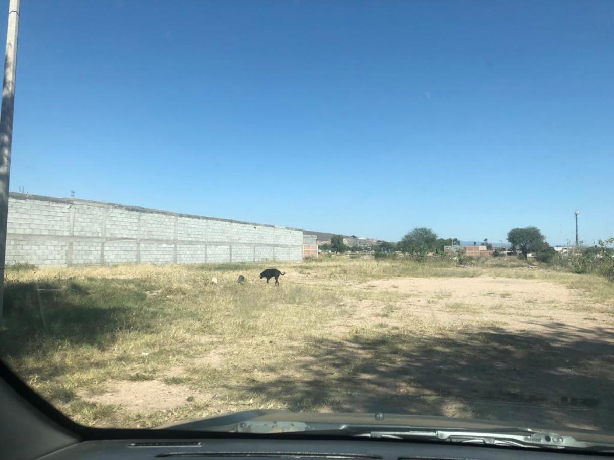 Terreno en renta en Arandas, Irapuato — foto 1 de 4