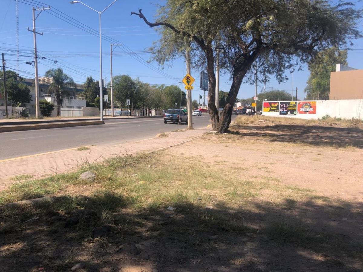 Terreno en renta en Arandas, Irapuato — foto 1 de 4