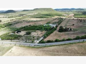 Terreno en venta en General Escobedo, Montemorelos — foto 3 de 4