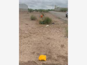 Terreno en venta en Hormiguero, Matamoros — foto 3 de 5