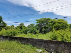 Terreno en venta en La Palma, Tenosique — foto 3 de 4
