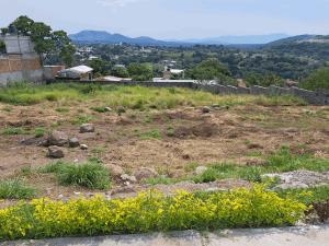 Terreno en venta en Xochitepec Centro, Xochitepec — foto 3 de 12